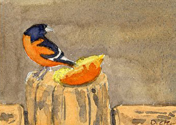 Flashes Of Orange Deb Dieter Madison WI watercolor